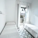 فيلة Cocor كابري