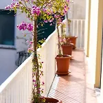 Cocor فيلة
